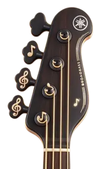 Bass headstock